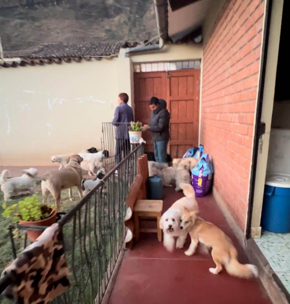 Fundación Hanz